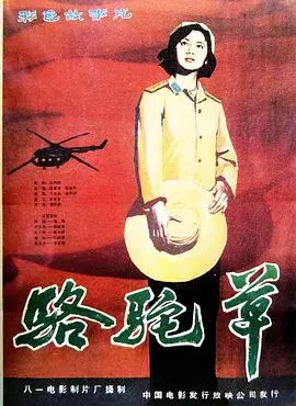 《骆驼草》：戈壁滩上的生命奇迹，一场关于坚韧与希望的心灵之旅！