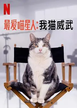 《最爱喵星人：我猫威武》：铲屎官必看！年度爆笑猫片，萌化你的心！