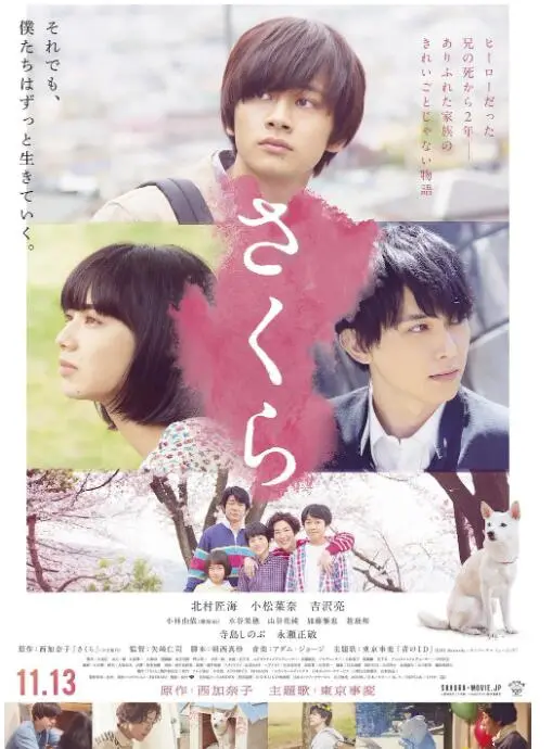 《樱》：生命之花的绽放与凋零，一部关于爱与失去的催泪物语