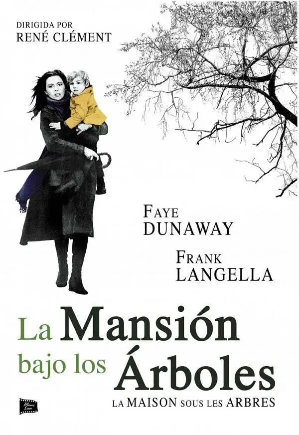 《雾锁巴黎》影评：迷雾中的人性救赎，一场关于爱与希望的动人故事